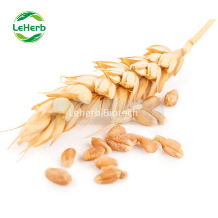Spermidine,Wheat Germ Extract