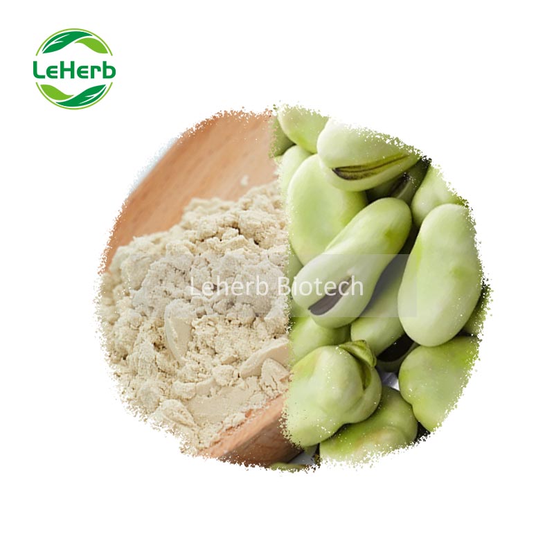 Fava Bean Protein