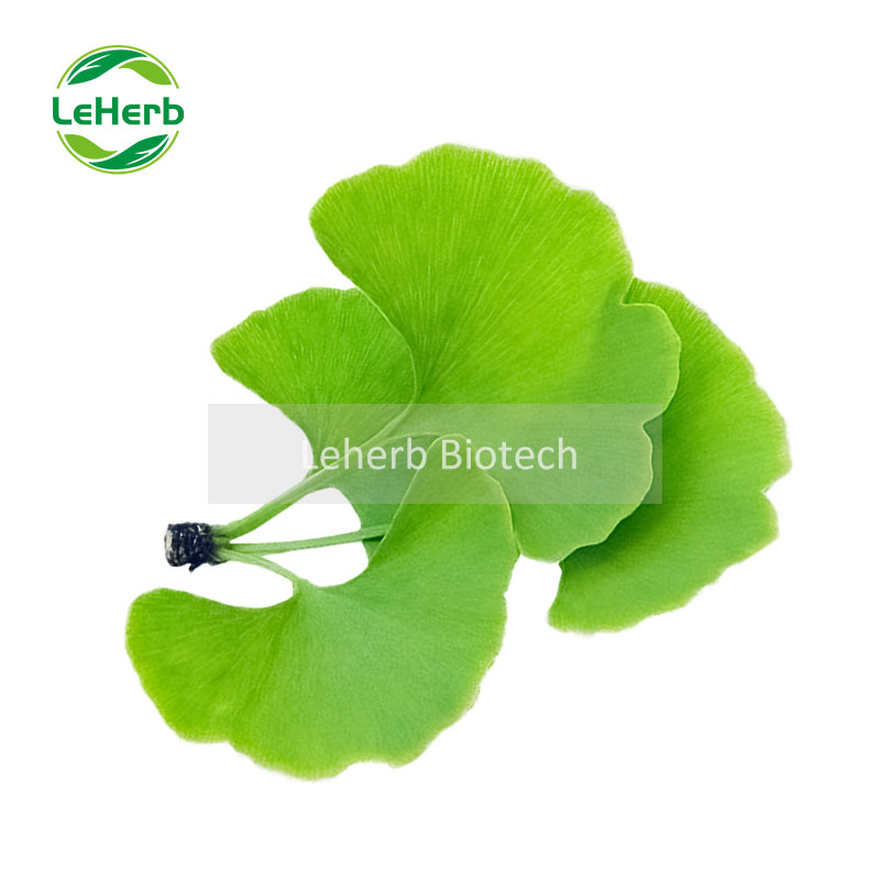 Ginkgo Biloba Leaf Extract